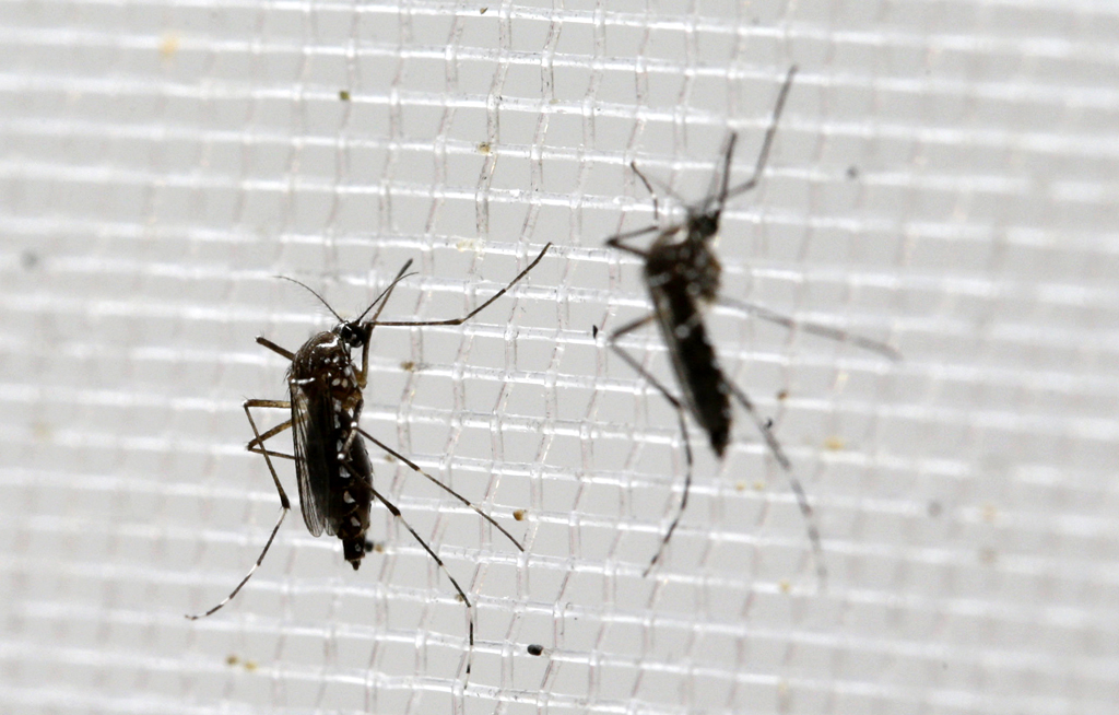 Tres casos de zika en Washington
