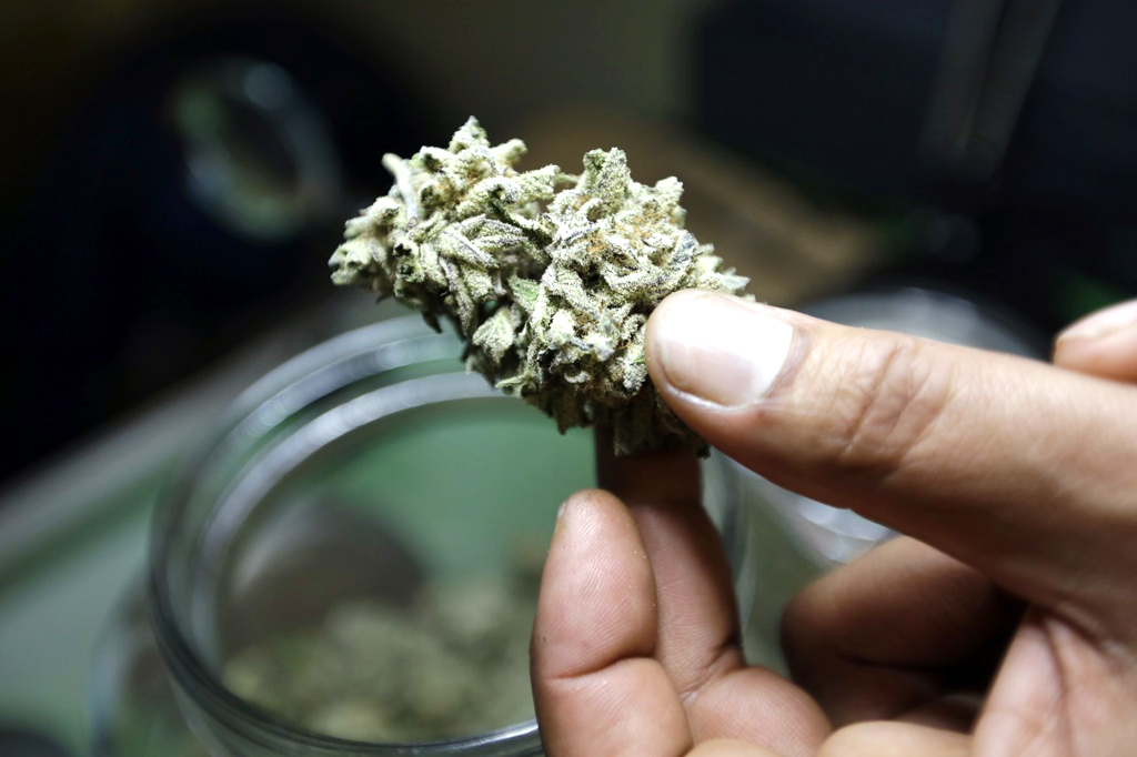 Evalúan cambios en ley de marihuana