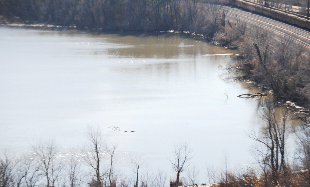 Investigan procedencia de aceite en el Potomac