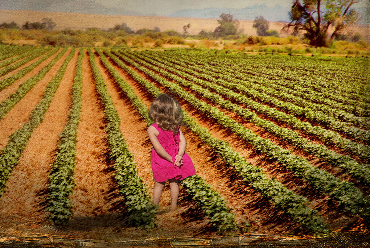 Teatro GALA presenta “Entre la tierra y el cielo”