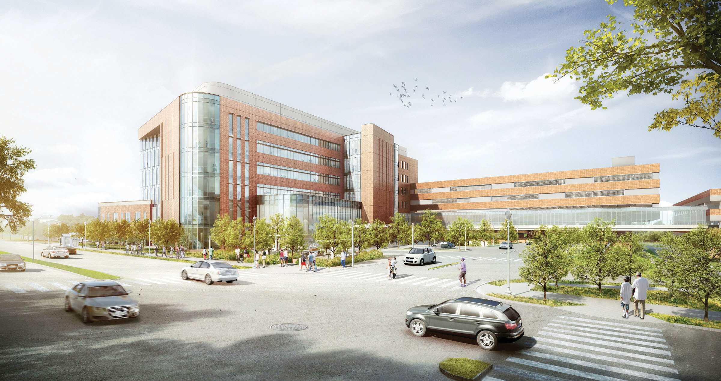 Un gran hospital para Virginia