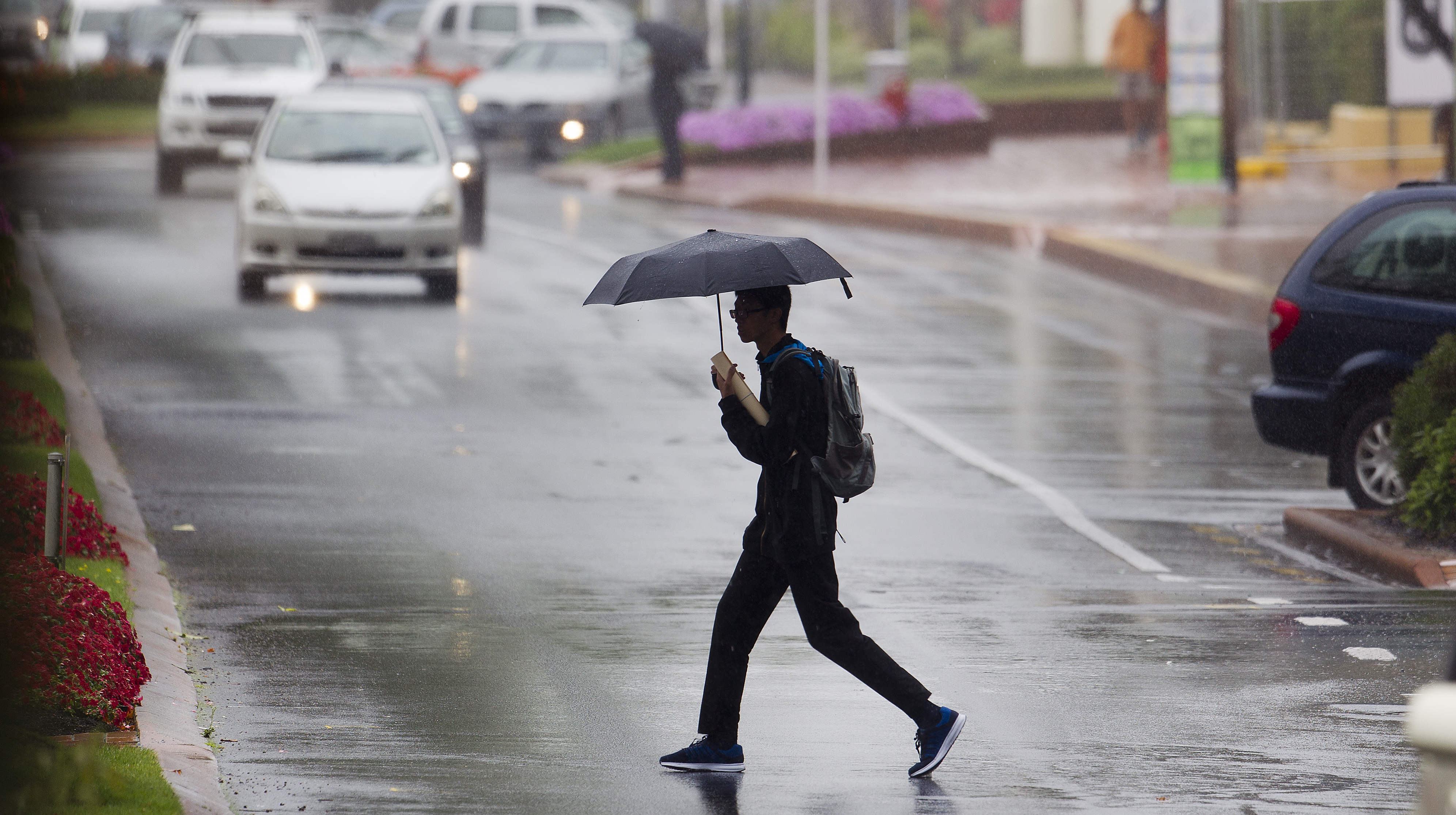 Incluso la lluvia ligera aumenta el riesgo de un accidente automovilístico mortal