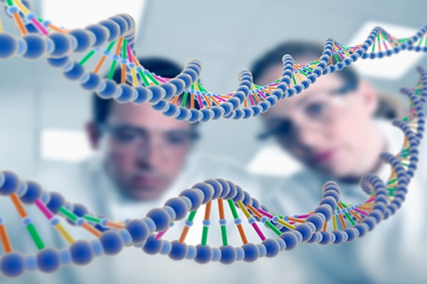 La Importancia de la Diversidad en el Campo de la Genética Humana