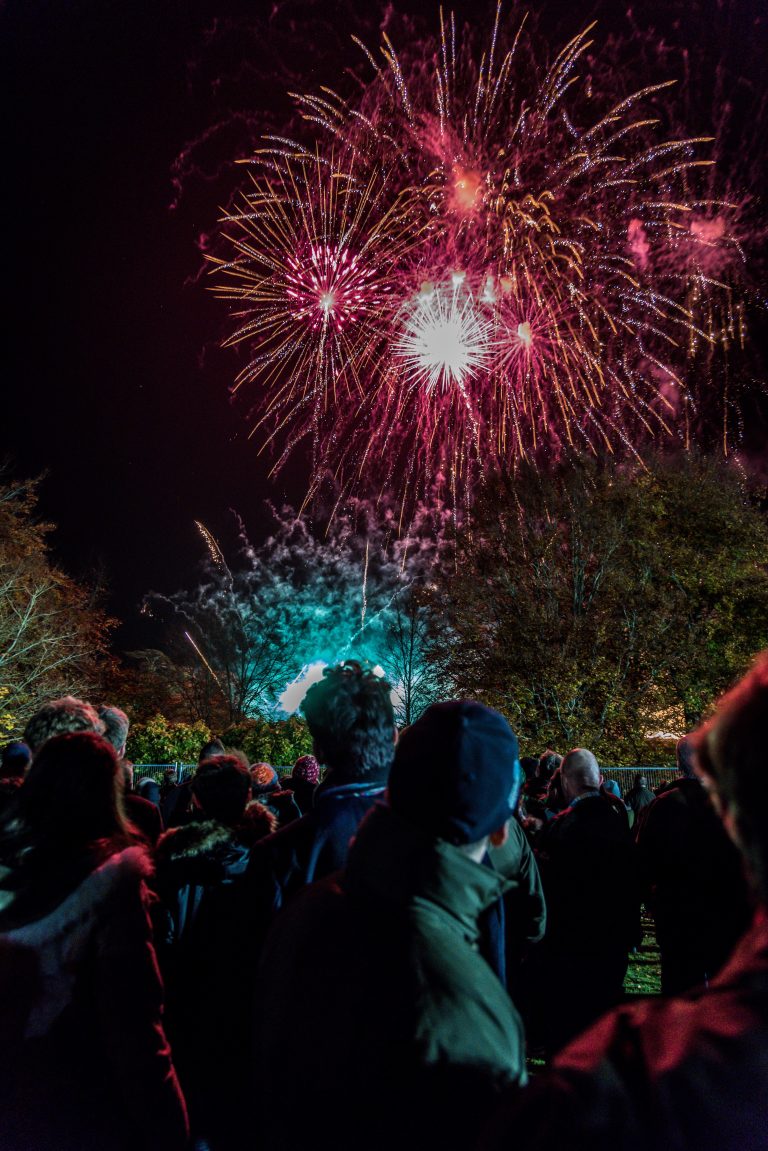 «Dejen los fuegos artificiales a los profesionales», dicen los jefes de bomberos del área de Washington D.C.