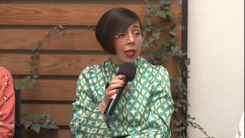 Decisiones "regresivas" y "puertas cerradas" marcan gobierno de Sheinbaum en México