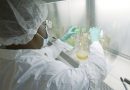 Maryland confirma el primer caso humano de virus del Nilo Occidental en lo que va de año