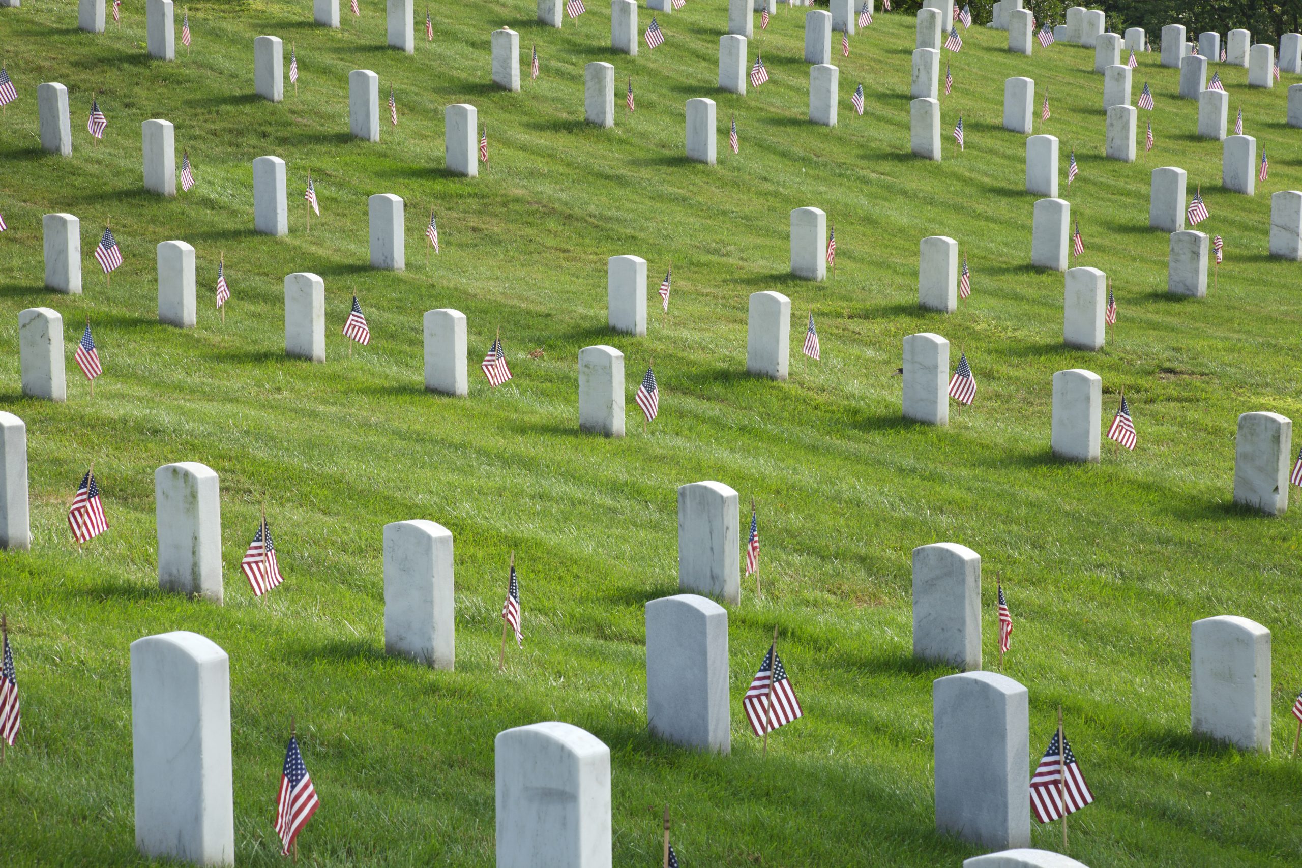 Por qué se celebra memorial day?  Washington Hispanic