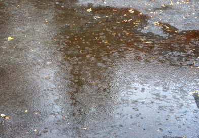 Washington se encuentra en emergencia Washington se encuentra en emergencia