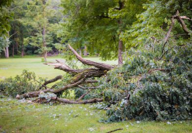 Dos muertos tras tormentas en la región de DC