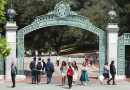 Capacitación gratuita en inteligencia artificial llega a las universidades