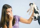 Descubre si tienes alergia a las mascotas