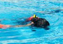 Niño muere tras ahogarse en una piscina