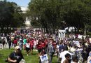 Miles de personas participaron en la marcha “Todos somos DC”
