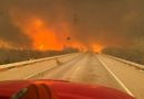Texas enfrenta uno de los mayores incendios forestales de su historia