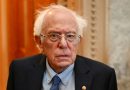 Excandidato presidencial Bernie Sanders buscará reelección en el Senado