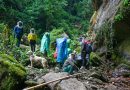 El incierto futuro de los recolectores de «miel loca» del Himalaya a causa del cambio climático