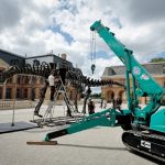 Se subastará en Francia el fósil del dinosaurio más grande jamás puesto a la venta