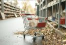 Multas a tiendas por carritos de compras no asegurados