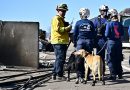 La policía montada explora una calcinada Los Ángeles en busca de cadáveres