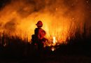 Más satélites para luchar contra los incendios forestales, una idea que se abre camino