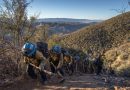 Bomberos avanzan en contención de nuevo incendio al norte de Los Ángeles