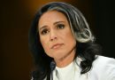 Senado confirma a Gabbard como directora de inteligencia