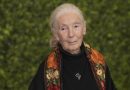 Jane Goodall y William Shatner serán honrados por el Club Sierra