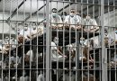 Juez para deportaciones al Salvador