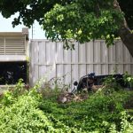 Opositores venezolanos salen de su refugio en la embajada argentina, ¿qué se sabe? Opositores venezolanos salen de su refugio en la embajada argentina, ¿qué se sabe?
