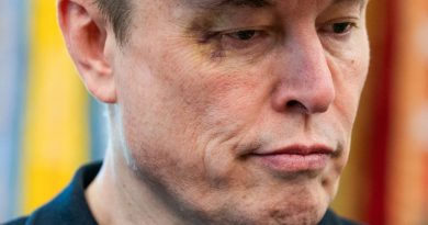 Trump despide a Musk, que quiere seguir siendo su «amigo» Trump despide a Musk, que quiere seguir siendo su «amigo»