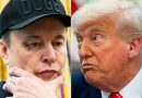 Trump está «muy decepcionado» con Musk y él lo acusa de «ingratitud»