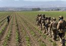 Trabajador agrícola en estado crítico tras redada migratoria cerca de Los Ángeles