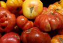 México busca limitar efectos de arancel de EEUU al tomate