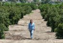 Agricultores advierten que redadas de Trump amenazan seguridad alimentaria
