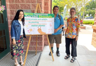 Programa de conservación ambiental ayuda a congregaciones locales a crear jardines sostenibles con plantas nativas