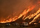 Incendios en Los Ángeles disparan las pérdidas económicas durante el primer semestre
