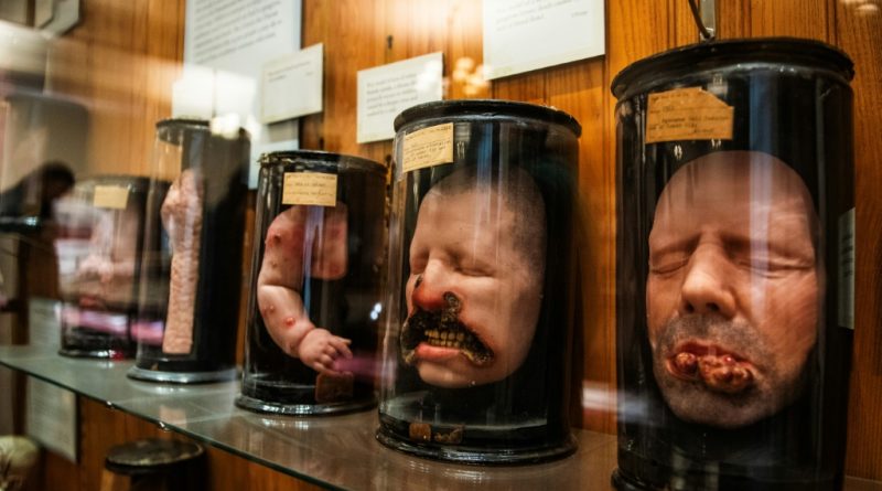 Esqueletos anónimos: un museo en el centro de un debate ético