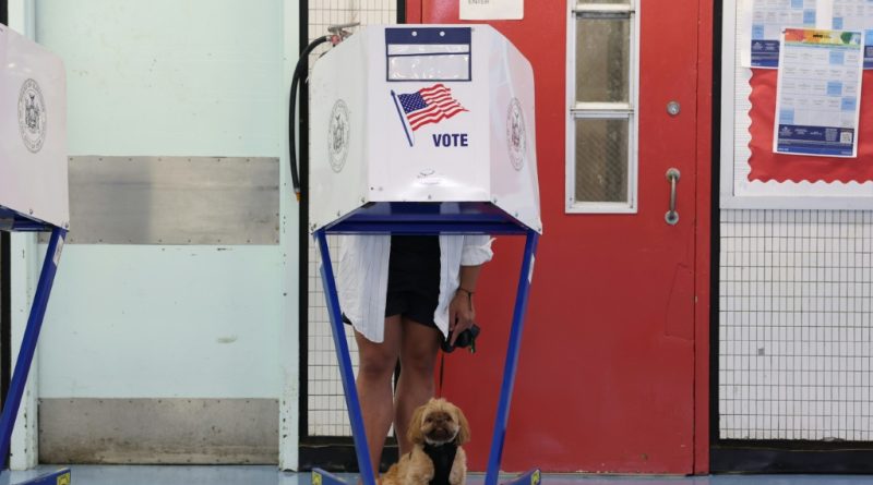 Una mujer es acusada de registrar a su perra para votar