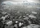 El hielo en la Antártida alcanza su tercer pico invernal más bajo en medio siglo