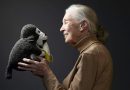 La reconocida experta en primates Jane Goodall muere a los 91 años