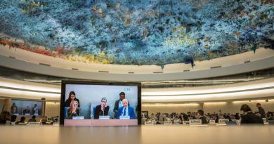 El Consejo de DDHH de la ONU tiene 14 nuevos miembros en medio de quejas de activistas El Consejo de DDHH de la ONU tiene 14 nuevos miembros en medio de quejas de activistas