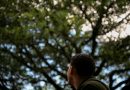 La migración venezolana crea un mercado de consumo de 10.500 millones de dólares en América Latina, según un estudio