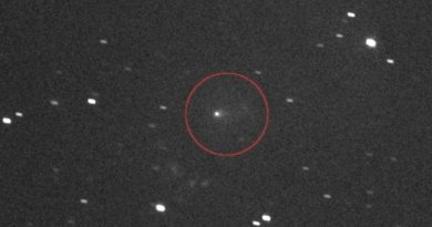 El cometa que fascina a los científicos y alborota las redes El cometa que fascina a los científicos y alborota las redes