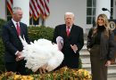 Trump arremete contra sus adversarios al indultar dos pavos por Acción de Gracias