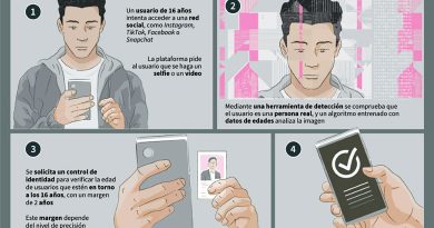 Un sistema en auge para identifi car a los menores en internet