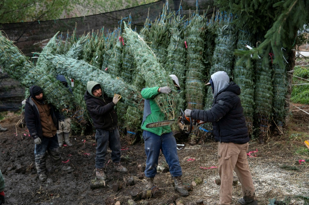 El desempleo en EEUU sube a 4,6% en noviembre, el más alto desde 2021