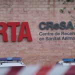 Registran laboratorio español por una posible fuga del virus de la peste porcina africana