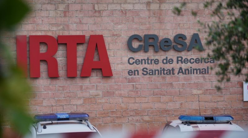 Registran laboratorio español por una posible fuga del virus de la peste porcina africana