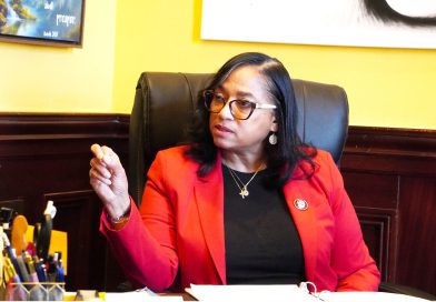 Peña-Melnyk inicia su primera sesión abordando el déficit presupuestario y la política migratoria