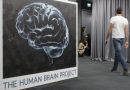 La regeneración cerebral de algunas aves podría inspirar la reparación del cerebro humano